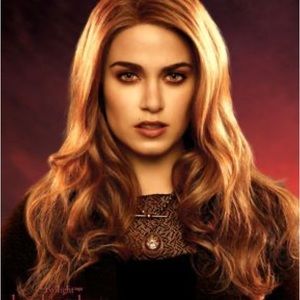 Rosalie Hale's Bordeaux Ruffled Cardigan Twilight Breaking Dawn